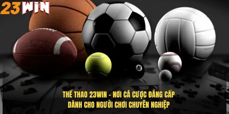 the-thao-23win-noi-ca-cuoc-dang-cap-danh-cho-nguoi-choi-chuyen-nghiep