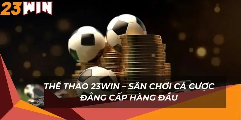 the-thao-23win-san-choi-ca-cuoc-dang-cap-hang-dau